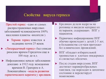 Характеристика вируса герпеса