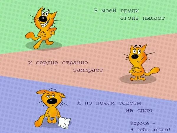 признание в любви прикол. прикольные признания в любви. прикольные признания девушки. прикольные открытки любимому. открытки признание в любви любимому мужчине.