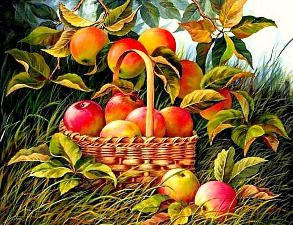 Корзинка с яблоками. Натюрморт с яблоками. Натюрморт корзина с яблоками в саду. Яблочный спас картины. Яблоки яблочный спас
