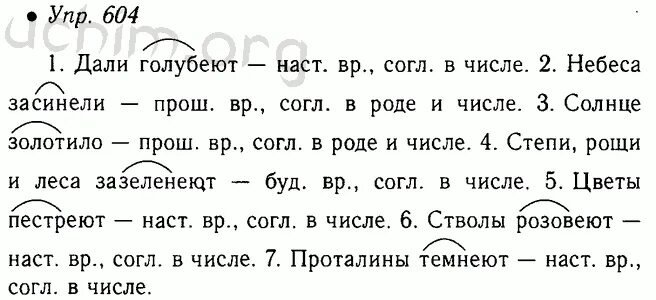 Русский язык 5 класс учебник 2 часть упражнение 604. Русский язык 5 класс домашние задание. Упражнения по русского 5 класс ладыженская. Русский язык 5 класс 2 часть упражнение.