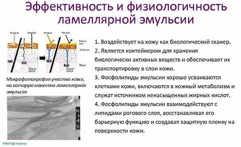 Ламеллярная эмульсия