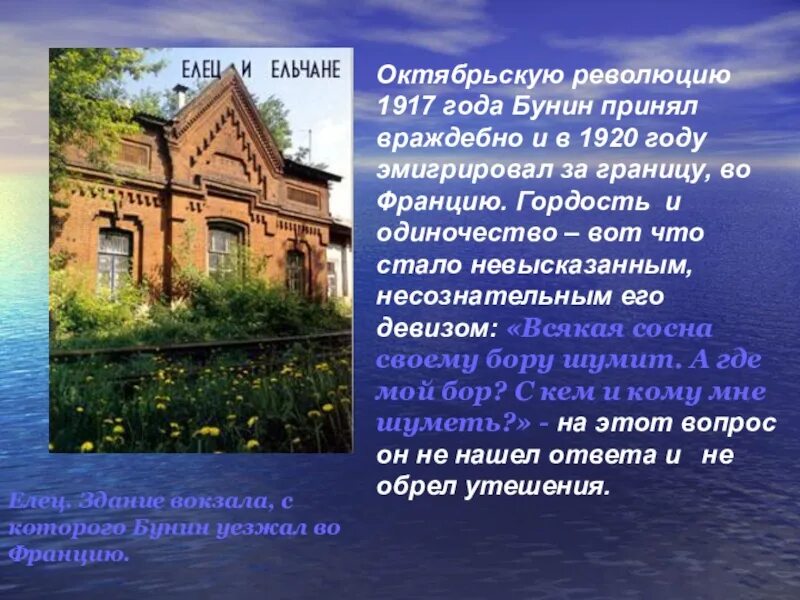 Бунин после революции. Бунин и революция 1917. Октябрьская революция Бунин. Сообщение Бунин в Елецком крае.