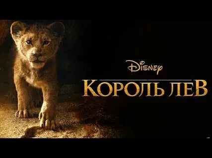 Король лев круг жизни