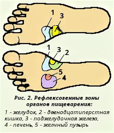 Рефлексогенная зона это