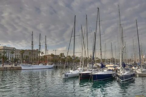 Морская гавань отзывы
