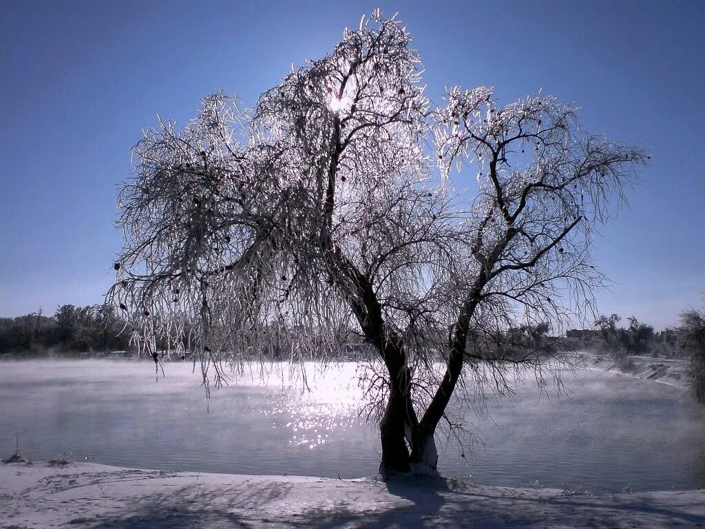 луганская обл город брянка. луганская обл город брянка. брянка луганск. город брянка сейчас. брянка лнр.