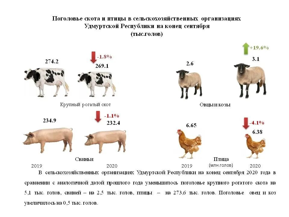 Поголовье скота. Поголовье крупного рогатого скота. Поголовье рогатого скота в России 2020. Структура поголовья КРС таблица.