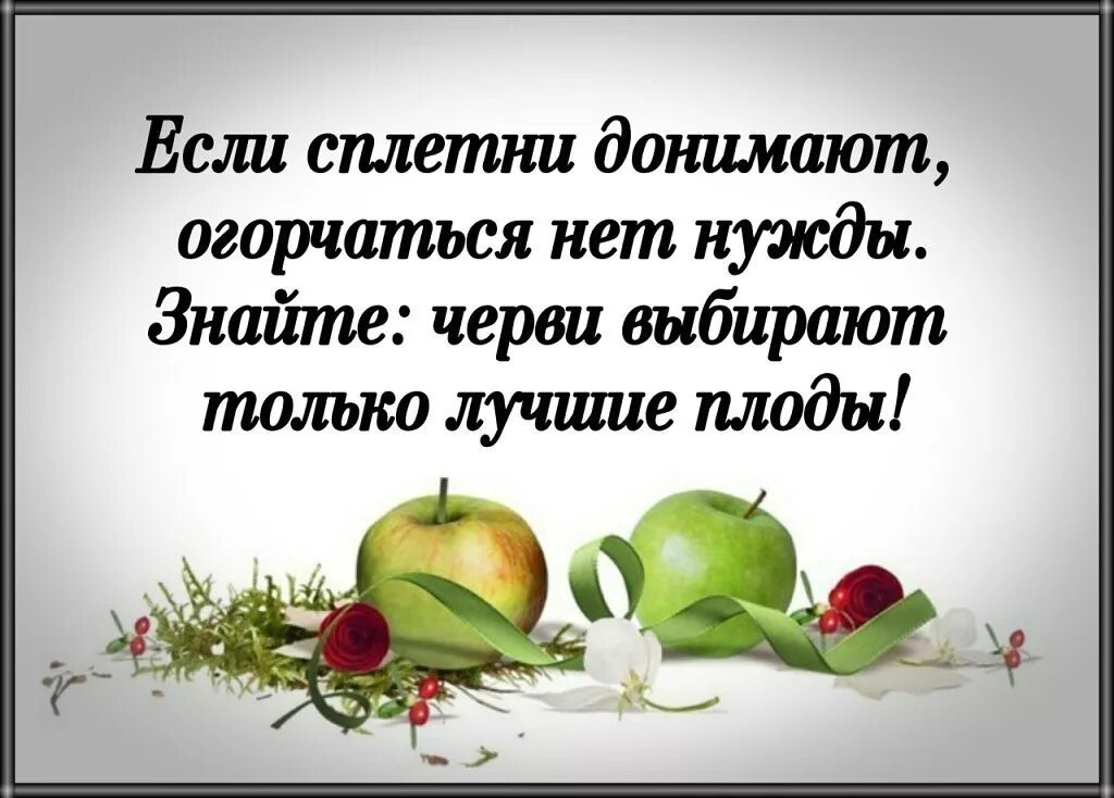 Чем огорчались чем радовались. Афоризмы про сплетни. Высказывания про сплетников. Цитаты про сплетни. Цитаты про зависть и сплетни.