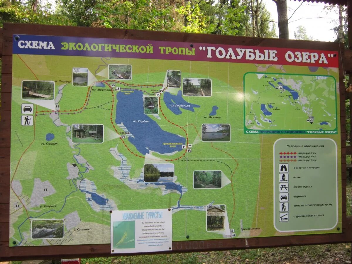 Тропы на класс. Схема экологической тропы. экологическая тропа схема. карта экологической тропы. план схема экологической тропы.