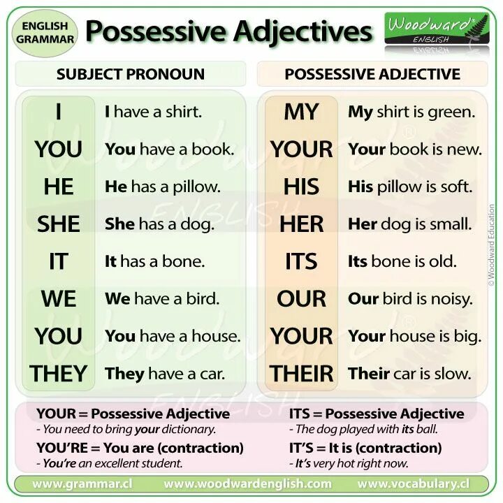 Subject possessive. Possessive adjectives. Possessive adjectives в английском языке. Possessive adjectives в английском правило. Possessive adjectives and pronouns в английском.