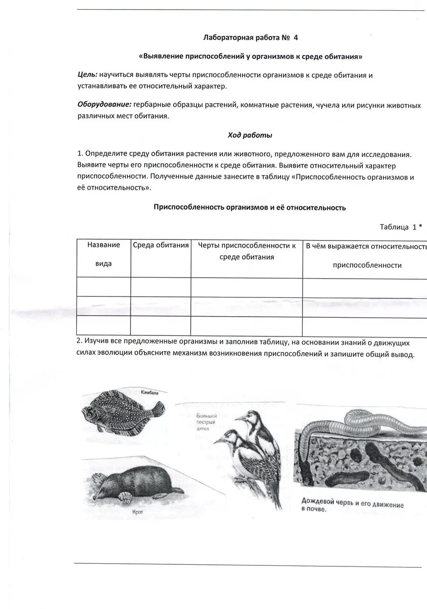 Приспособленность организмов к среде обитания. Лабораторная работа выявление приспособленности. Выявление приспособлений у организмов к среде обитания. Лабораторная работа приспособленность организмов к среде обитания. Биология лабораторная работа 5 класс тема выявление