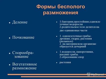 К формам бесполого размножения относится