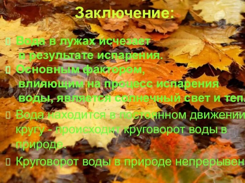 Почему высыхает лужа? - презентация онлайн