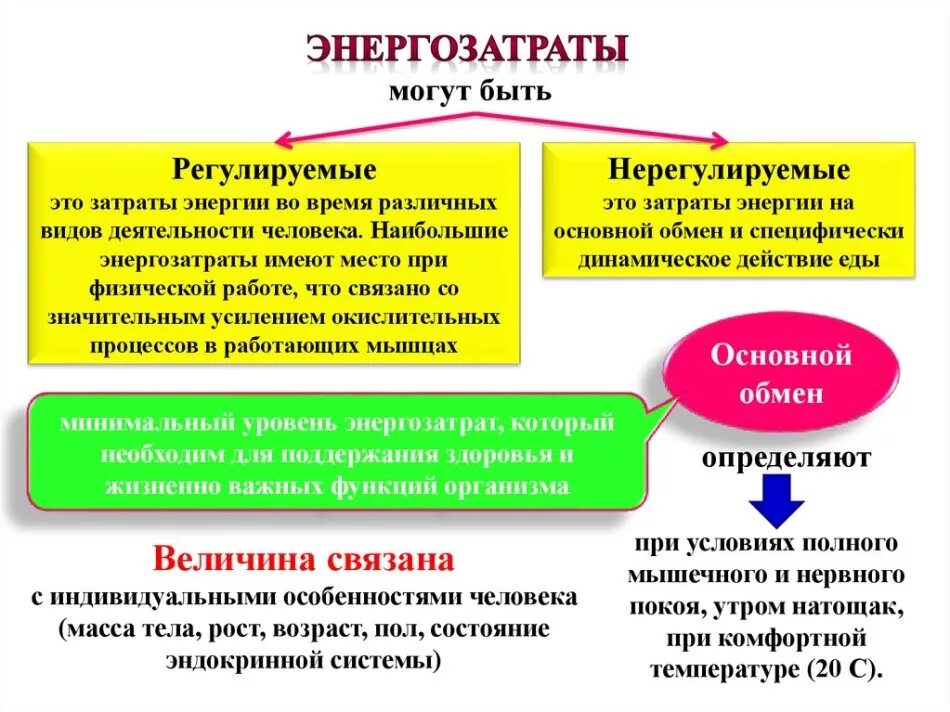 Оценить затраты энергии организма можно. Регулируемые затраты энергии. Виды энергетических затрат. Виды энергетических затрат человека. Не регулируемые энеогощатраты.