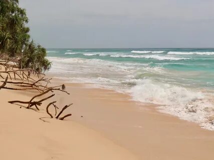 Велигама шри ланка