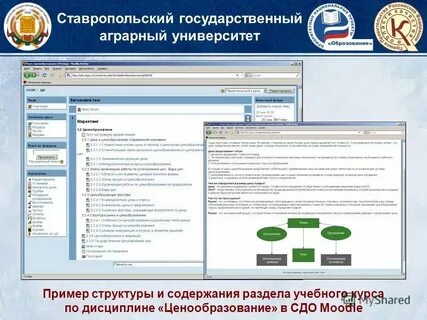 Система электронной поддержки белгау