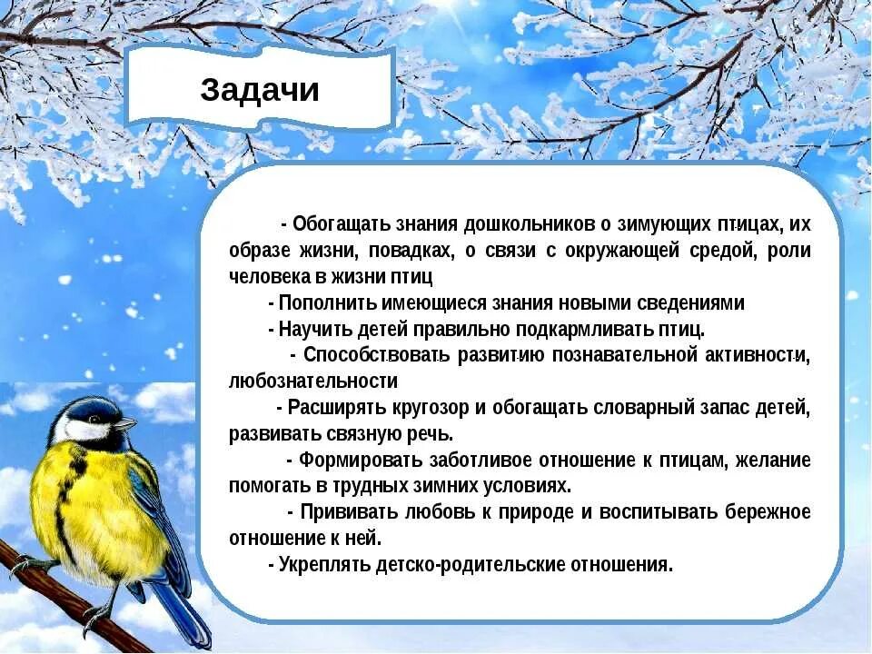 День птиц в младшей группе отчет. Цель проекта зимующие птицы. Задачи проекта зимующие птицы. Проект Накорми птиц зимой. Задачи про зимующих птиц.