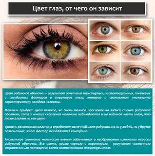 Какого числа надо ставить синий глаз