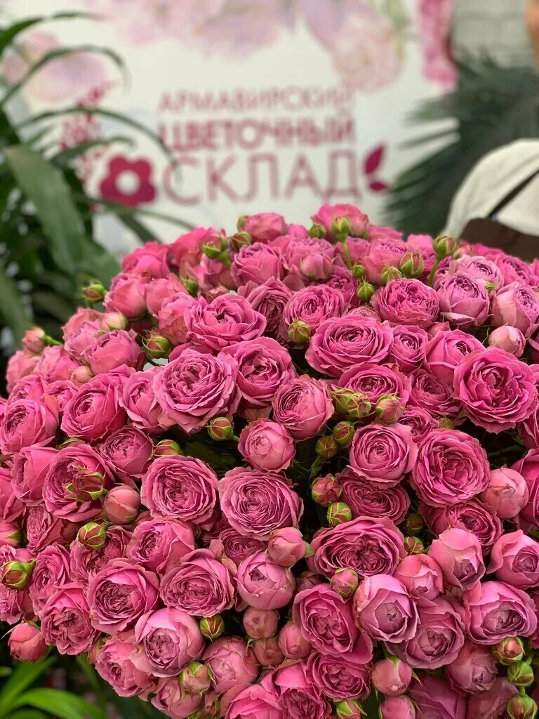 цветочный склад армавир. цветочный склад армавир. склад цветов ижевск. ижевск а мега тц омега внутри. красная 172 краснодар.