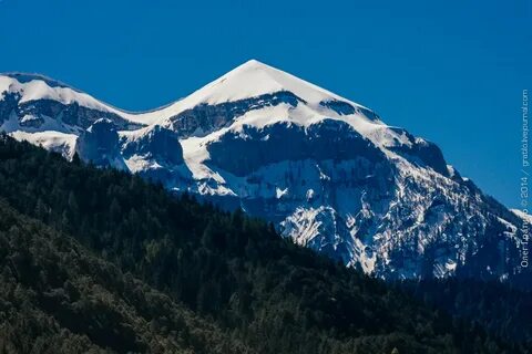 Monte parivision