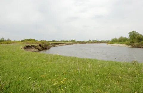 Погода волгоградская камышинский щербатовка