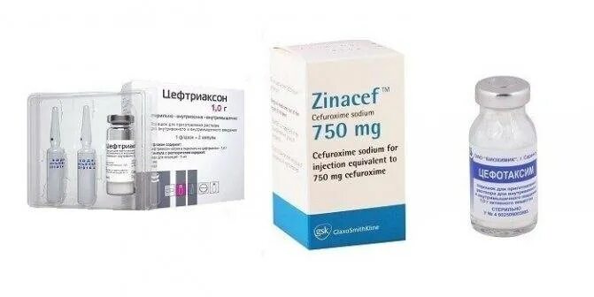 антибиотик в ампулах от гайморита. антибиотик колоть при гайморите. антибиотик цефотаксим в уколах. лекарство от гайморита антибиотиками в уколах. антибиотики в уколах.