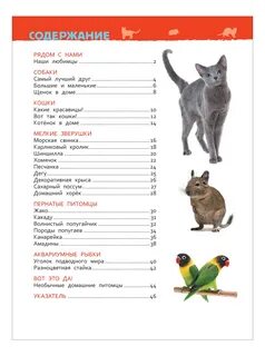 Какие животные могут быть домашними питомцами