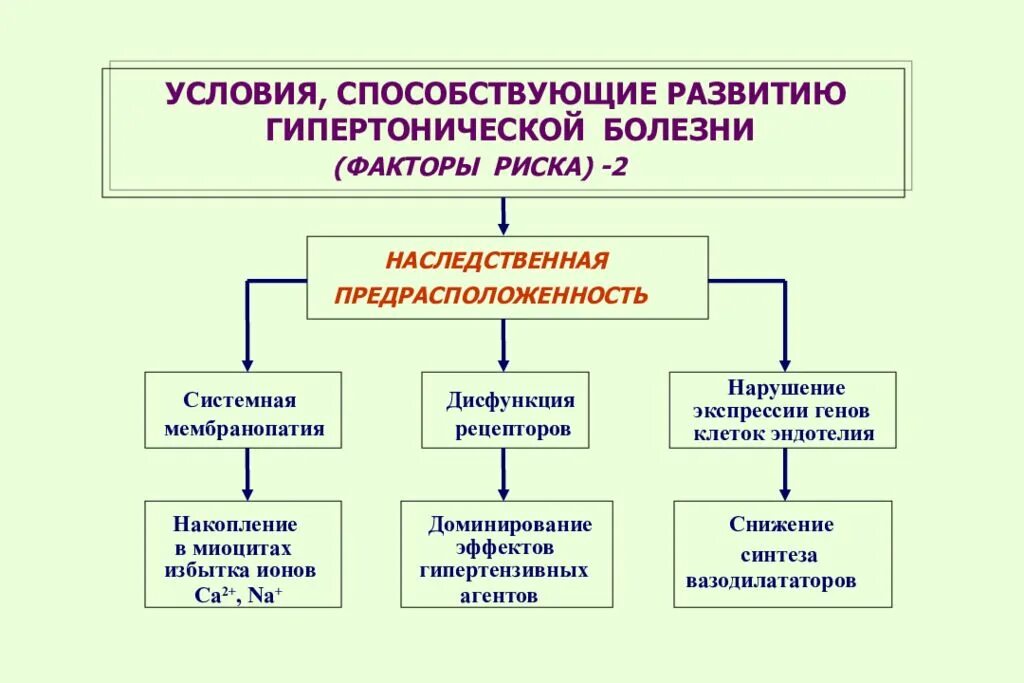 Гипертония тип болезни. Гипертоническая болезнь тип наследования. наследственная основа первичной гипертензии. патогенез артериальной гипертензии схема. факторы, предрасполагающие развитие гипертонической болезни.