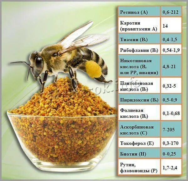 Пыльца пчелиная витамины. Пыльца пчелиная полезные. Пчелиная пыльца витаминный состав. Витамины с цветочной пыльцой. Пыльца витамины