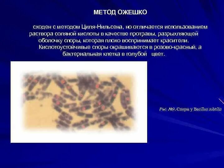 Окраска спор бактерий. Метод окраски Ожешко микробиология. Окраска по методу Ожешко микробиология. Окраска Ожешко споры. Окраска спор методом Ожешко.