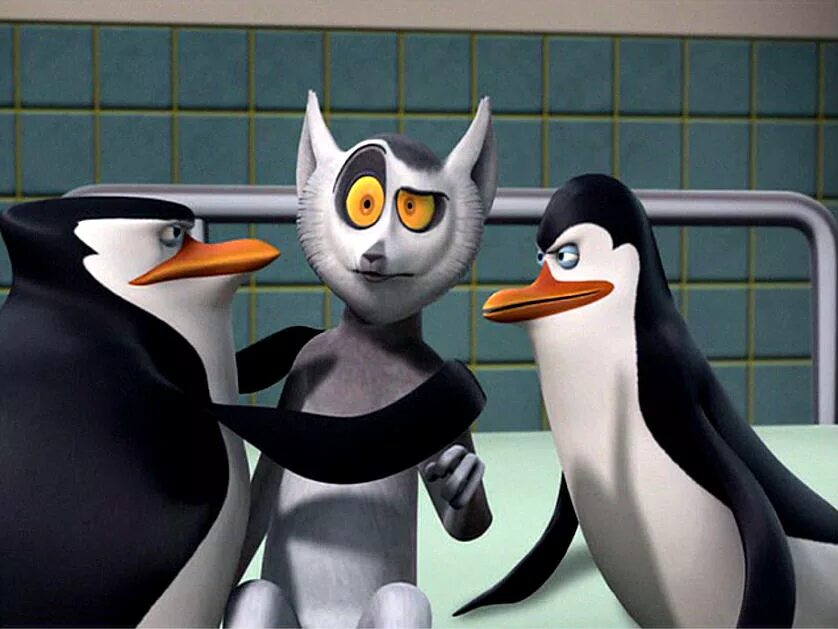 Включи пингвины мадагаскара. Включи пингвины мадагаскара. 3 пингвина из мадагаскара. Включи пингвины мадагаскара. Классифайд пингвины мадагаскара.