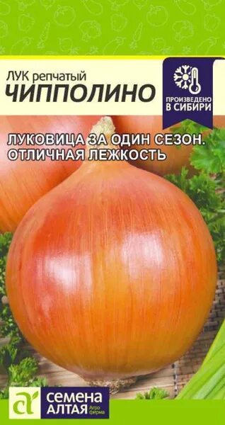 Лук Детский Чиполлино репчатый купить в Москве в интернет-магазине Семена цветов