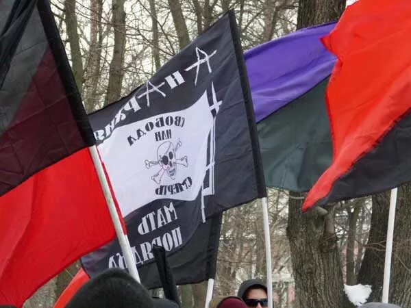 партия анархистов. анархисты решение аграрного вопроса. шествие анархистов. анархисты начала 20 века в россии. анархизм рабочий вопрос.