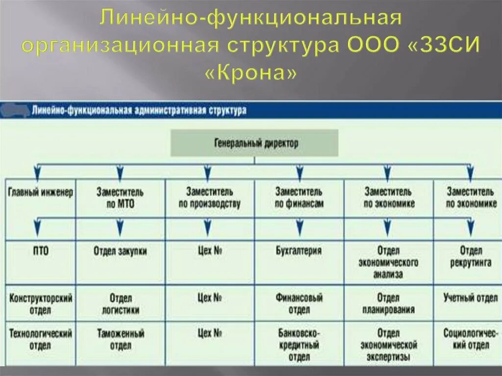 Функциональные органы учреждения. Линейно-функциональная структура организации пример компании. Линейно-функциональный Тип организационной структуры. Линейно-функциональный Тип организационной структуры управления. Линейно-функциональная организационная структура завода.