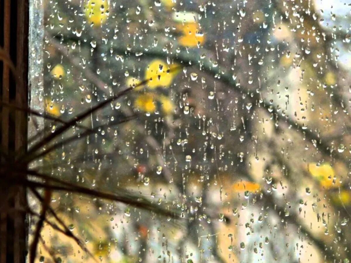Осень дождь за окном. Ветер за окном. Фото осенний дождь за окном. Доброе утро весенний дождик за окном.