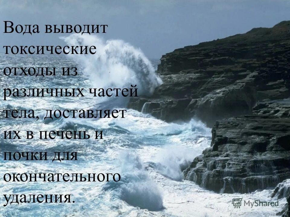 Ее величество вода. Ее величество вода картинки.