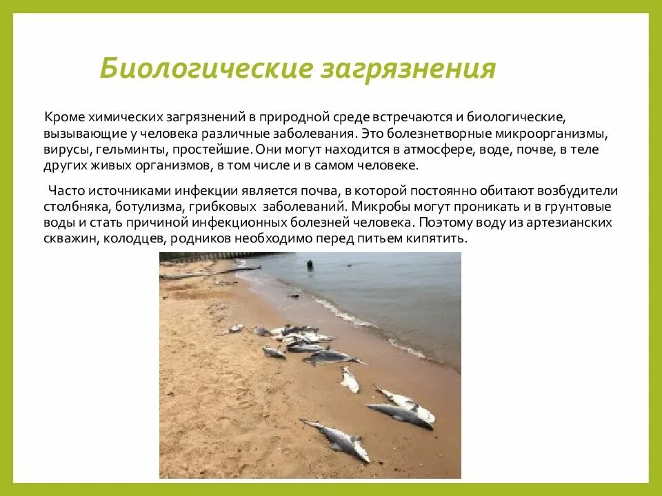 Биологические загрязнения примеры. Биологическое загрязнение окружающей среды. Биологические загрязнения примеры. Бактериальное загрязнение воды. Основные источники биологического загрязнения.