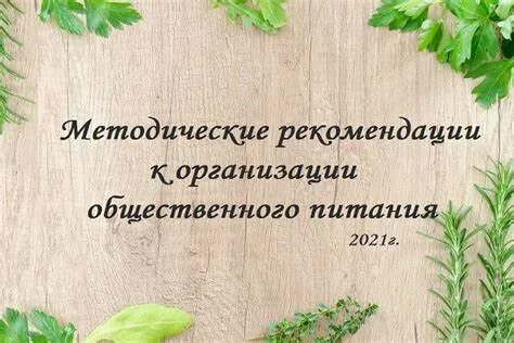 Методические рекомендации по организации питания