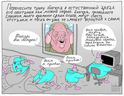 Приколы про блоггера