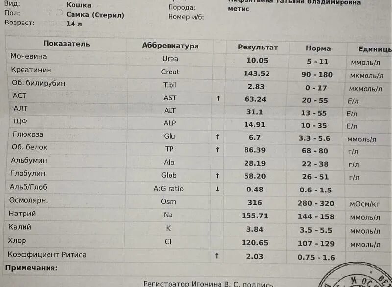 Аст повышены у мужчины в крови. Анализ крови. Повышенный показатель алт. Показатели в норме алт АСТ билирубин. Алт анализ крови что это.