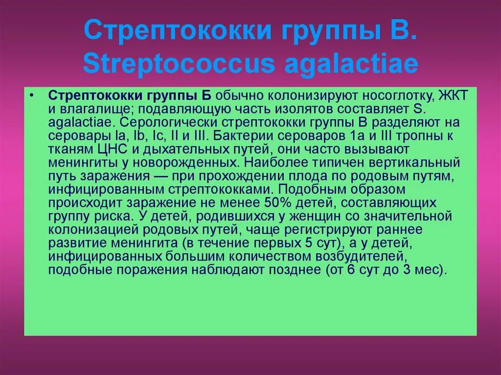 Стрептококки у женщин лечение. Стрептококк группы а. Стрептококковая инфекция. Этиотропная терапия стрептококковой инфекции.