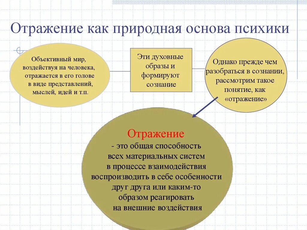 Отражается как правильно. Понятие отражения и психики. Отражение в философии. Понятие отражения в философии.