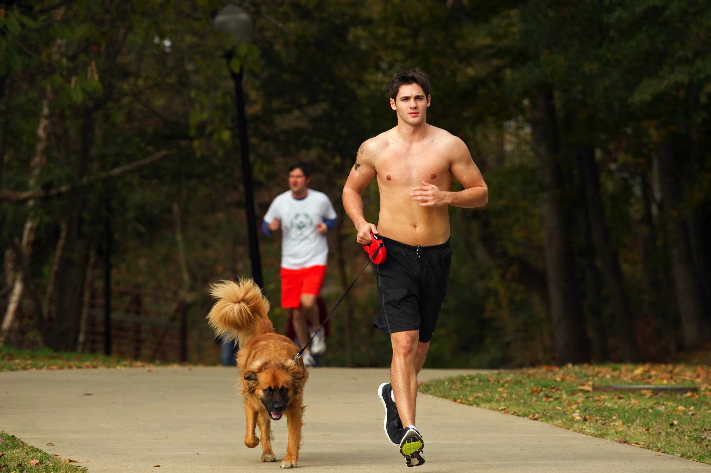 Мужчина с собакой. Человек бежит с собакой. Пробежка с собакой. Мужчина на пробежке с собакой.