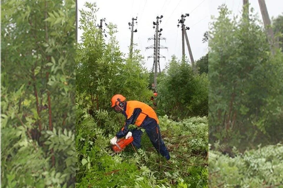 Расчистка трассы вл от деревьев. Расчистка лэп. расчистка лэп от кустарника. чистка просеки вл. расчистка вл от деревьев и кустарников фск еэс.