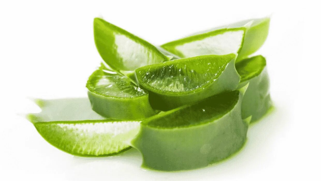 Aloe Vera. Алоэ барбаденсис Миллер. Aloe Vera extract. Алоэ хаги ваги