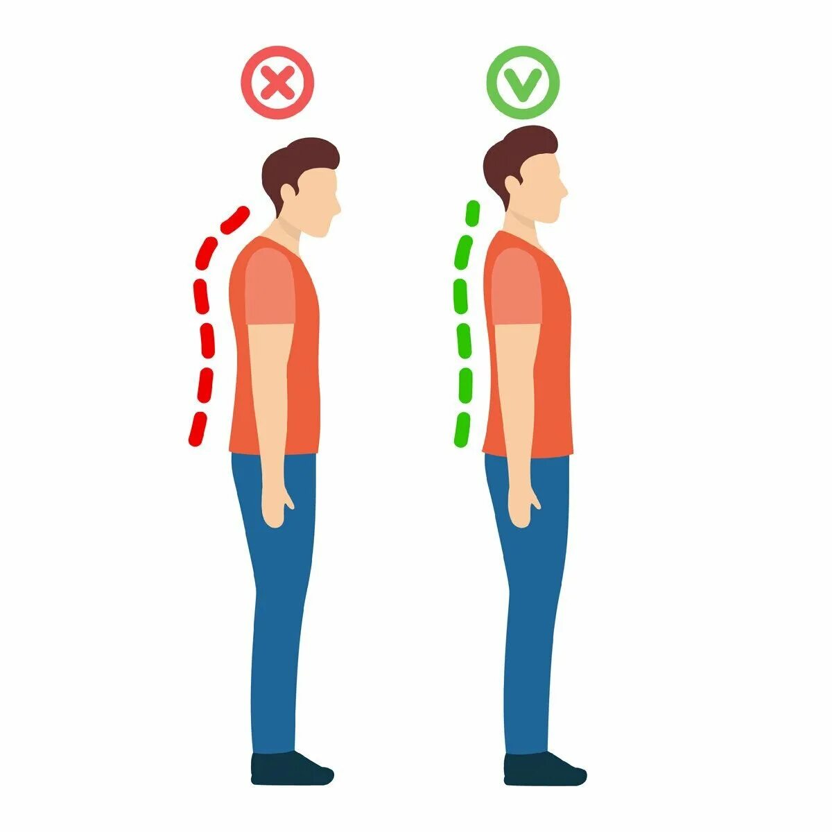 Как правильно держать спину. Осанка. Правильная осанка. Правильная осанка у человека. Осанка картинки.