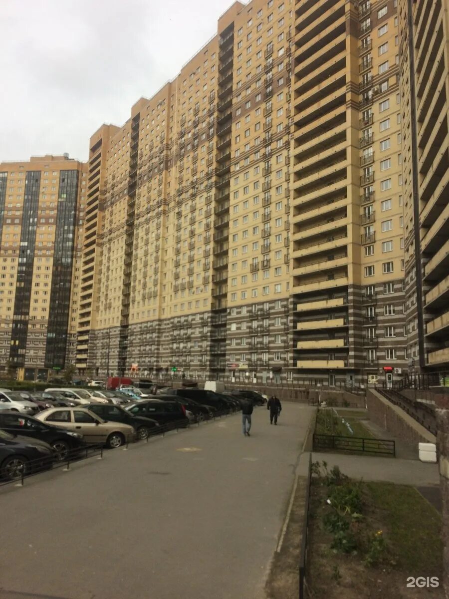 Михаила дудина 25 к 2. Санкт петербург ул михаила дудина. Улица михаила дудина 23к1. Парнас санкт петербург михаила дудина. Улица михаила дудина 25к2.