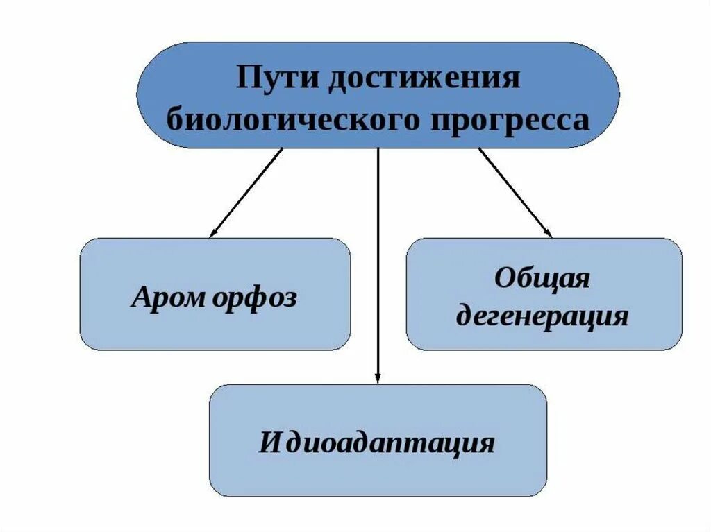 Биологический прогресс ароморфоз общая дегенерация и. Формы биологического прогресса. Пути биологического прогресса. Пути достижения биологического. Основные пути достижения биологического прогресса.