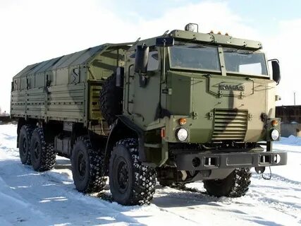 Камаз медведь