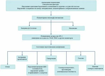 Патогенез преэклампсии